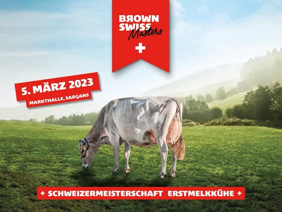 Brown Swiss Masters